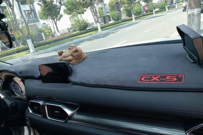 tham-taplo-o-to-chong-nang-hu-mon-noi-that-pandaautovn-2