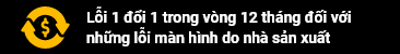 1-doi-1-trong-12-thang