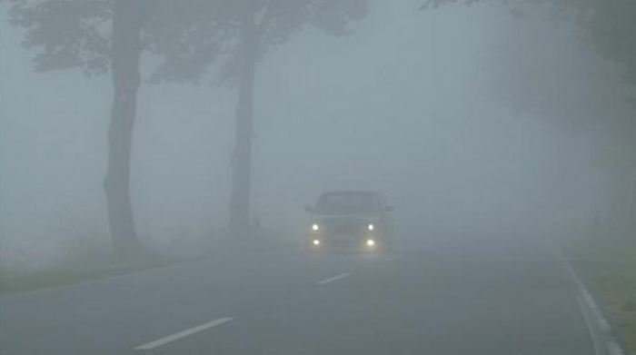 dan-phim-cach-nhiet-oto