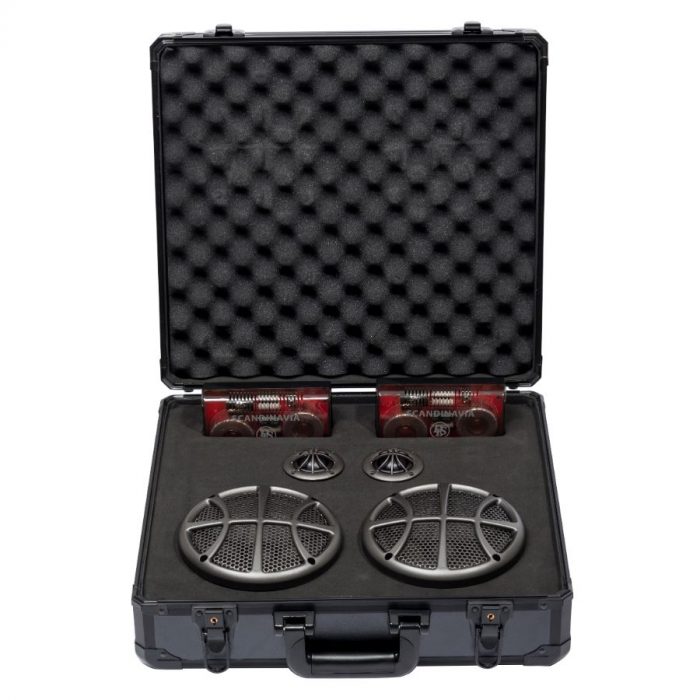 Loa cánh 2 Way phân tần DLS Scandcase 2