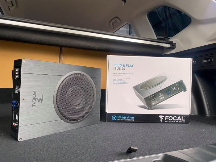 Focal-ibus-20